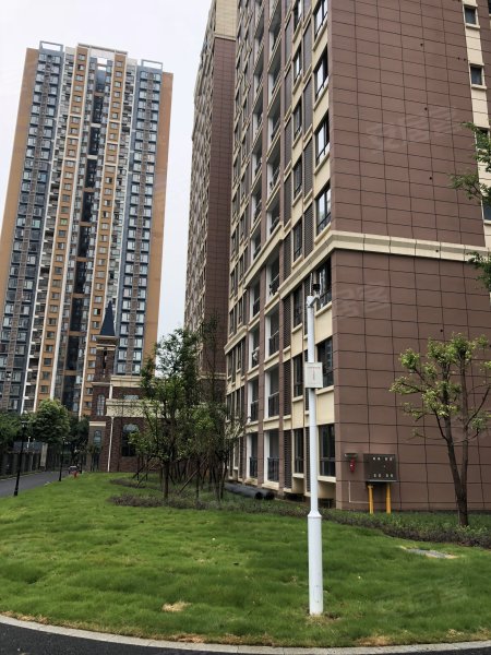 中迪禾邦创世纪