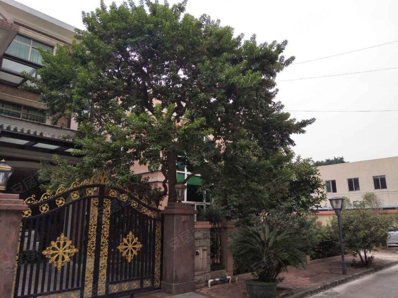 河畔花园,振兴西路1号-东莞河畔花园二手房,租房,房价-东莞安居客