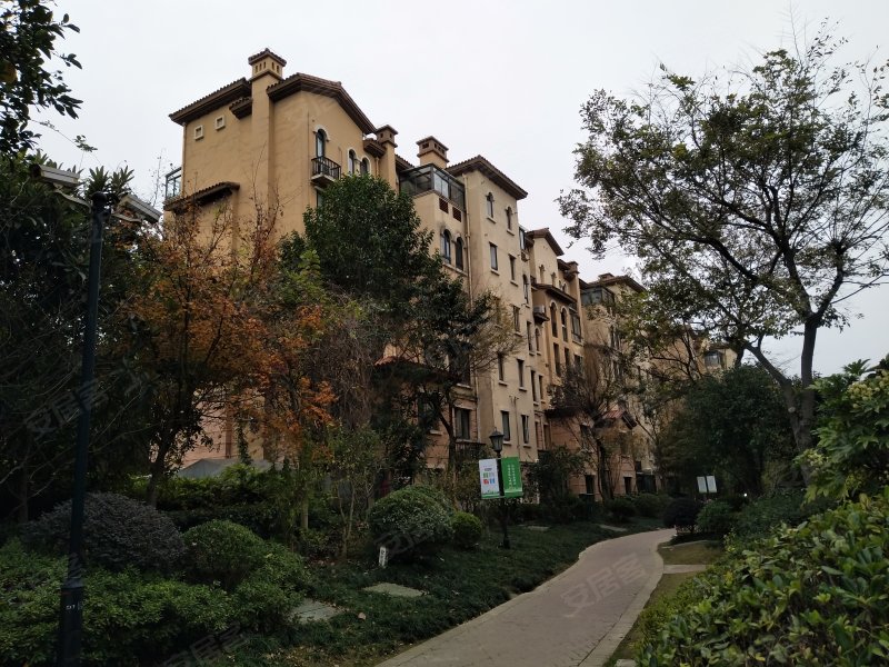 阿卡迪亚(五区)