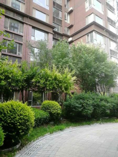 祥云国际(东一区)