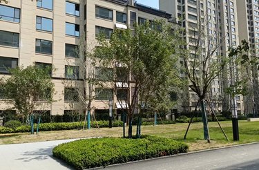 中梁首府,黄河八路,近渤海二十四路 - 滨州中梁首府二手房,租房,房价