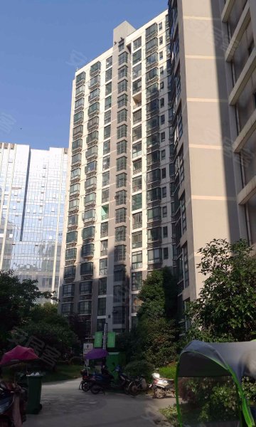 景城花园,靶场路1号-合肥景城花园二手房,租房,房价-合肥安居客