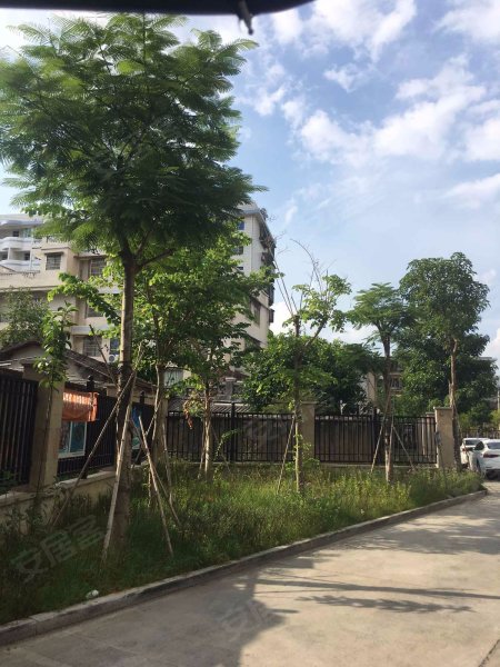 金湖花园,芝山路43号-漳州金湖花园二手房,租房,房价-漳州安居客