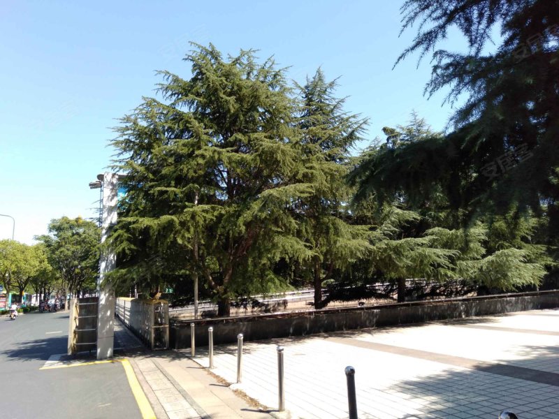 万通大厦,三香路1298号-苏州万通大厦二手房,租房,房价-苏州安居客