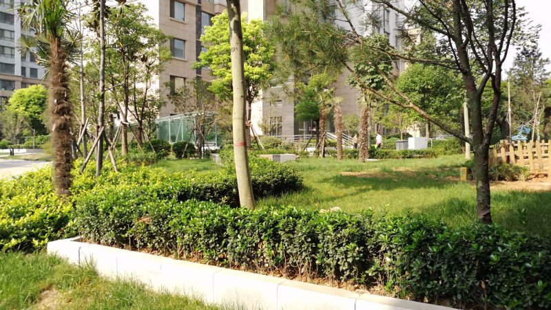 檀香园,联盟路29号-洛阳檀香园二手房,租房,房价-洛阳安居客