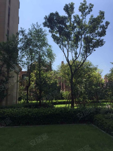 中金海棠湾(一期公寓) 