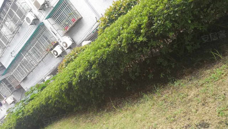 人民街158弄小区 