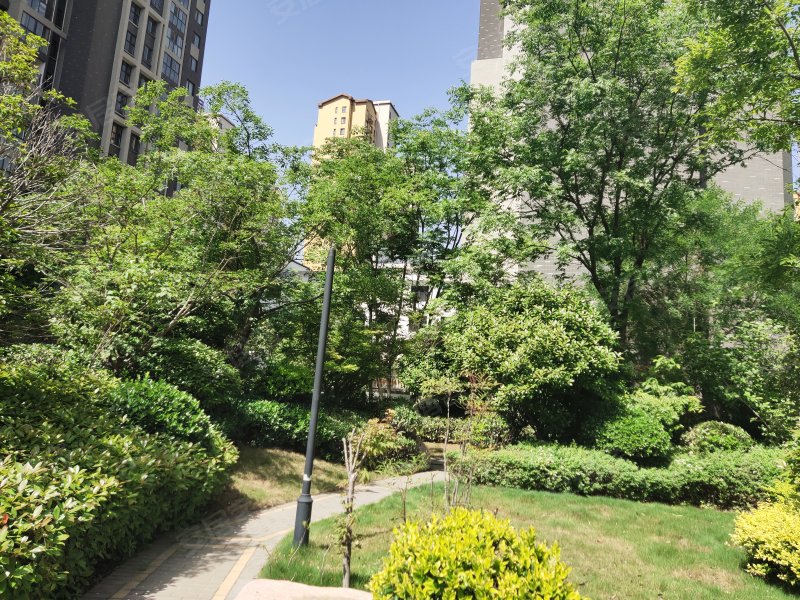 建业桂园(临颍),新城路-漯河建业桂园(临颍)二手房,租房,房价-漯河