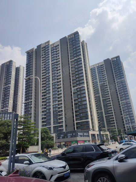 敏捷紫岭国际(三期),中山五路82号-中山敏捷紫岭国际(三期)二手房