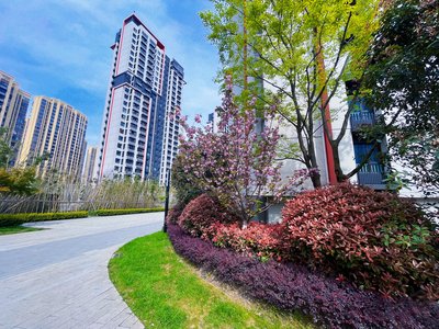 万科红(一期),镇西路,近和平路 - 合肥万科红(一期)二手房,租房,房价