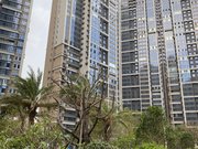 东海湾门第(二期) 南北通透 商品住宅 双卫 中间楼层采光好