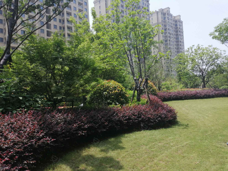 巨成悦湖湾,利东路,近环园路-嘉兴巨成悦湖湾二手房,租房,房价-嘉兴