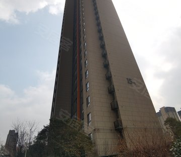 白桦林明天(北区)