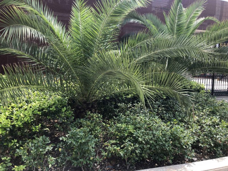 殷高路40弄小区 