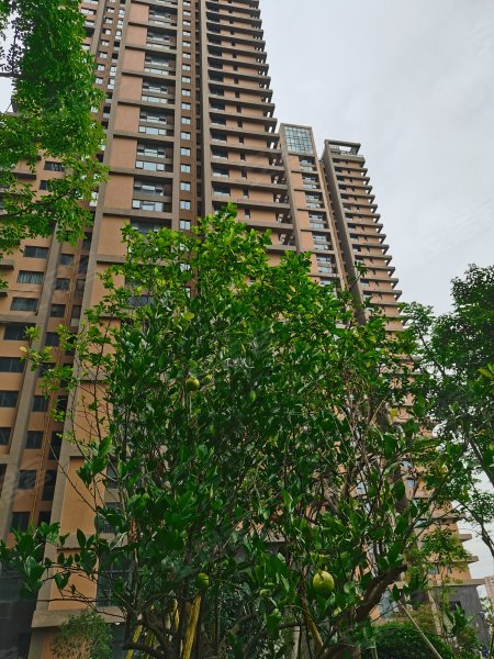 江岸景苑,会展路,近蒲江路-温州江岸景苑二手房,租房,房价-温州安居客