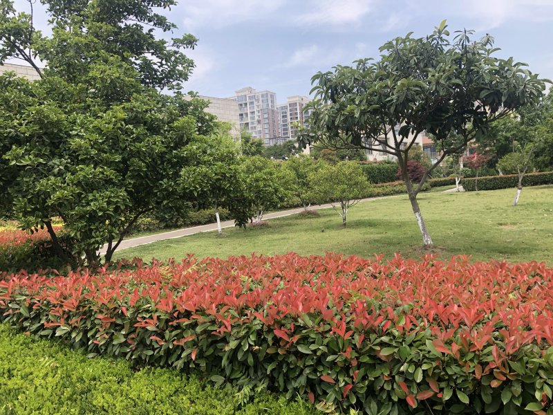 澜泊湾,通达路1880号-苏州澜泊湾二手房,租房,房价-苏州安居客