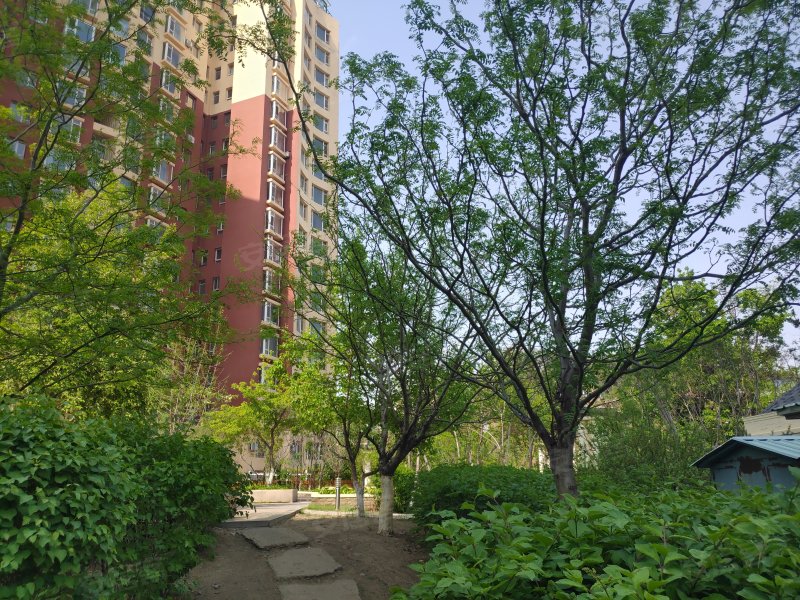 武夷花园,临河街268号-长春武夷花园二手房,租房,房价-长春安居客