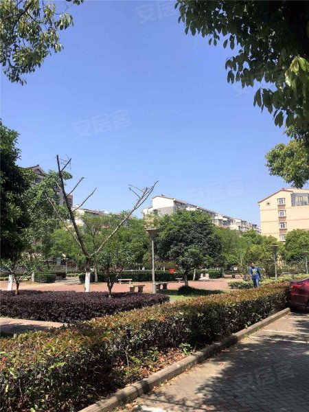 梅苑小区,泰山南路-南京梅苑小区二手房,租房,房价-南京安居客