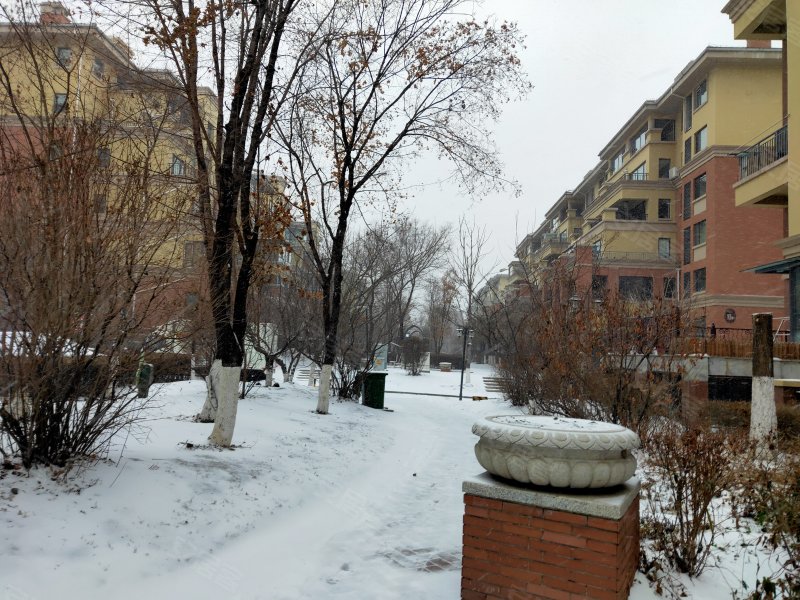 复地哥德堡森林