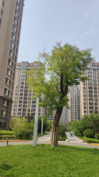 安泰未来城,大连路387号-日照安泰未来城二手房,租房,房价-日照安居客