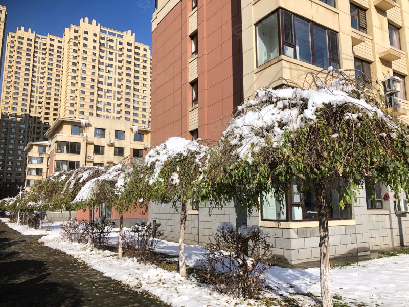 东华园,裕城路(旧:规划街)-抚顺东华园二手房,租房,房价-抚顺安居客