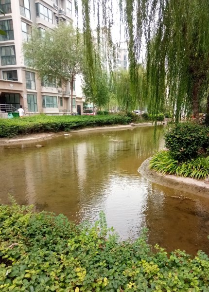 伟业香堤湾,集英街-开封伟业香堤湾二手房,租房,房价-开封安居客