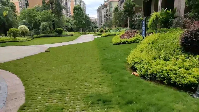 金信海怡花园,北江一路-清远金信海怡花园二手房,租房,房价-清远安居