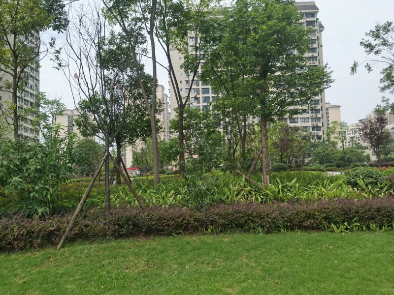 卢卡小城,板南大道499号-自贡卢卡小城二手房,租房,房价-自贡安居客