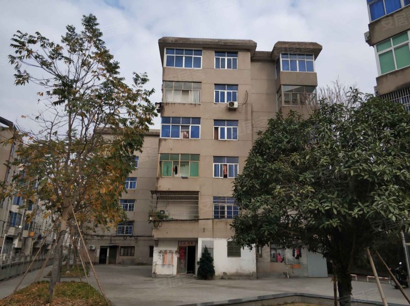 大成中学教工宿舍,大成路-义乌大成中学教工宿舍二手房,租房,房价