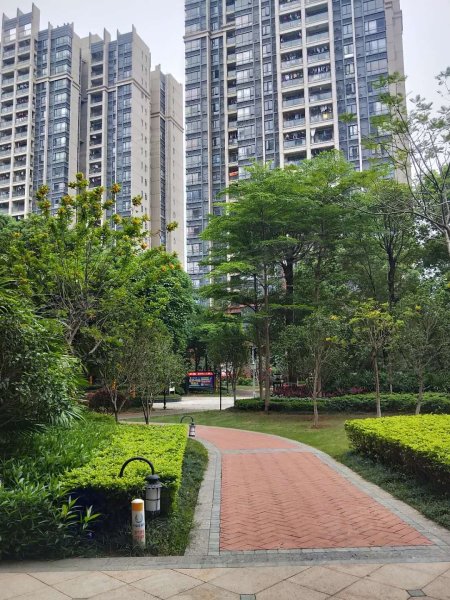 碧桂园松湖珑悦