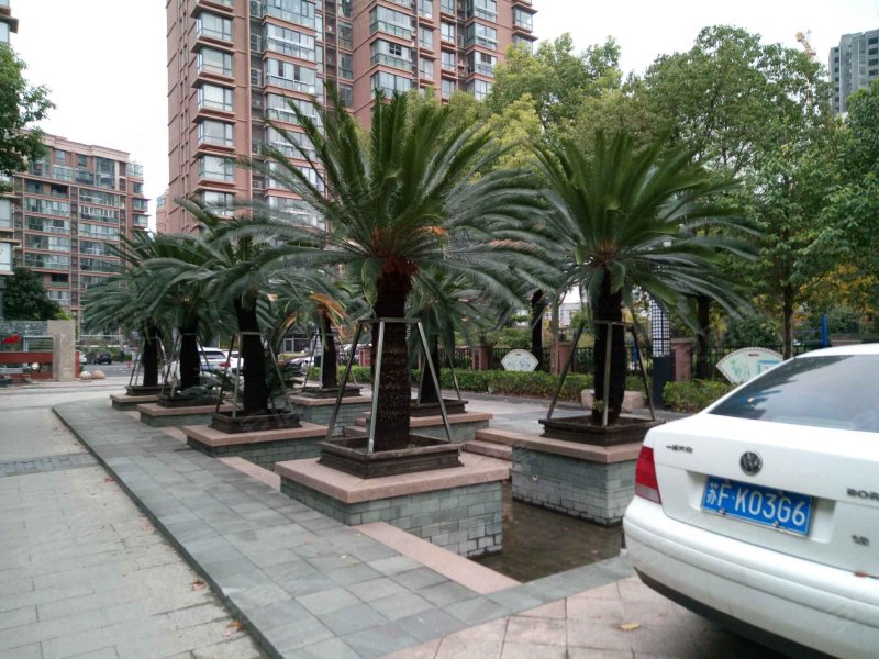 华府御庭,益寿路-上海华府御庭二手房,租房,房价-上海安居客