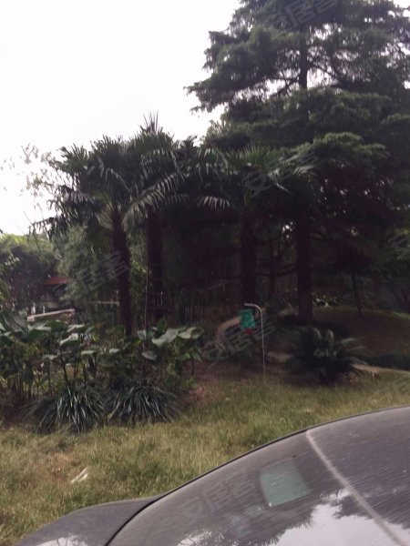 新领地花木星辰苑 