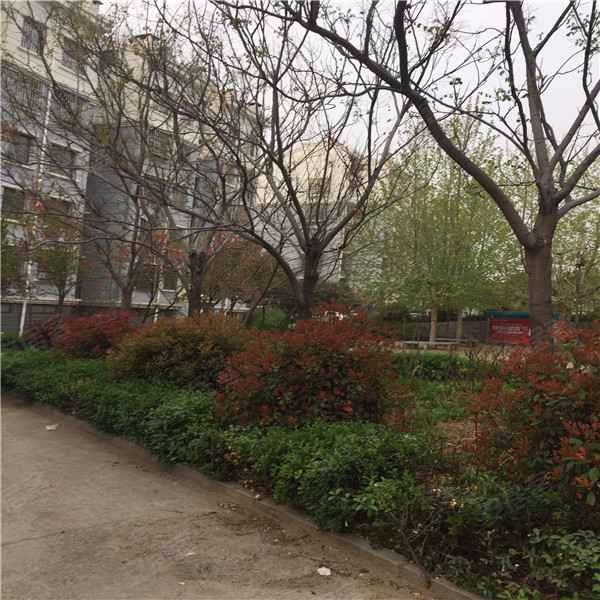 玫瑰庄园,佛光路-泰安玫瑰庄园二手房,租房,房价-泰安安居客