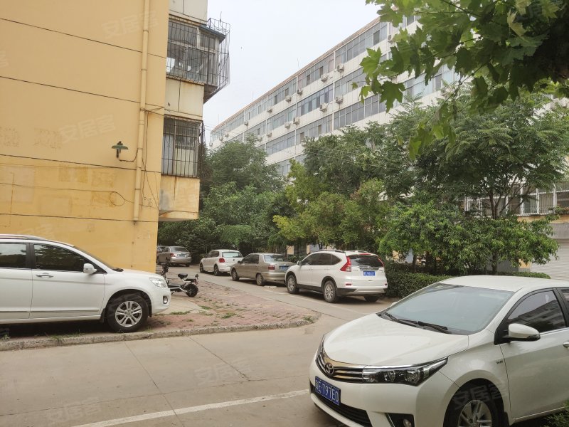园东小区(桥西)