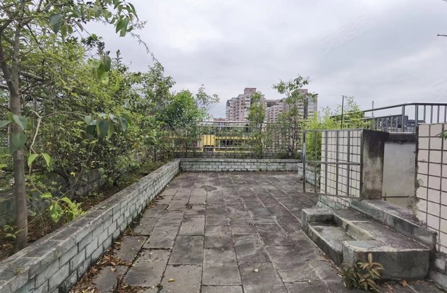 名士公馆,长寿路10号-成都名士公馆二手房,租房,房价-成都安居客