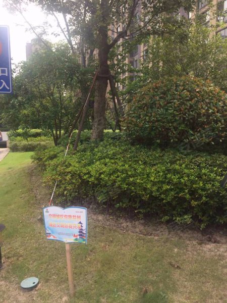 万科金色领域(西区) 