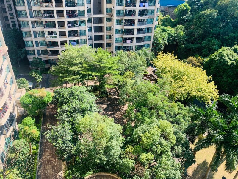 南湖半山东苑,大源南路-广州南湖半山东苑二手房,租房,房价-广州安居