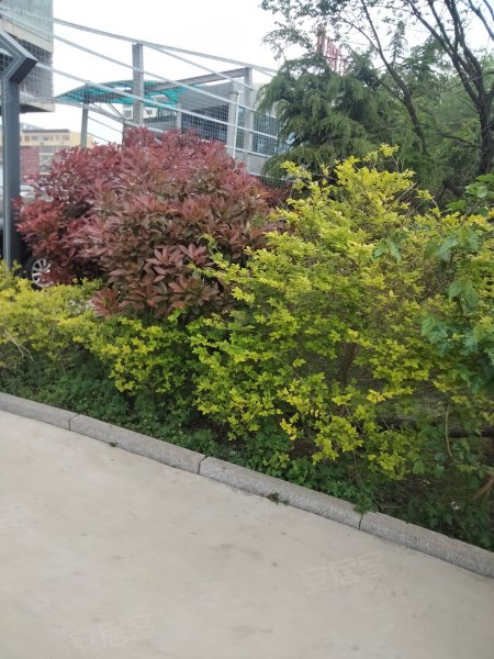 荣安北李广场,大连路-日照荣安北李广场二手房,租房,房价-日照安居客