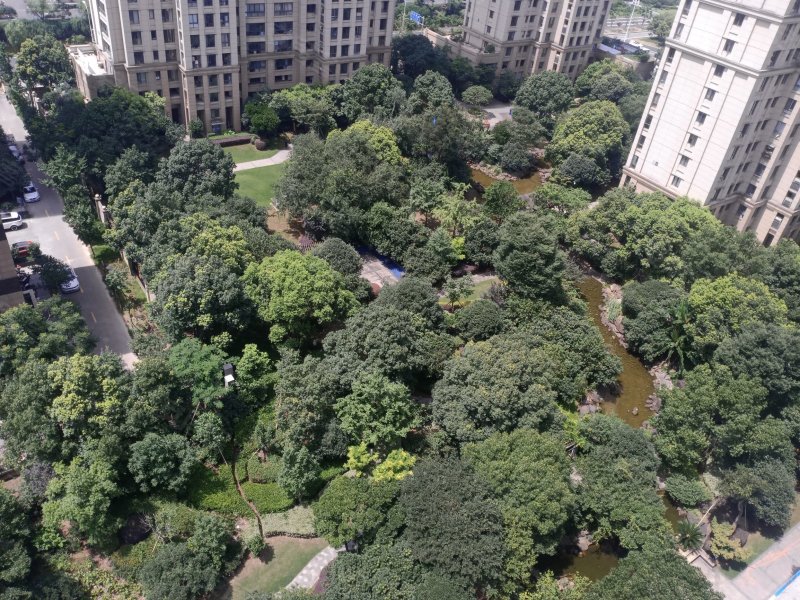 金宸国际,双水路699号-台州金宸国际二手房,租房,房价-台州安居客