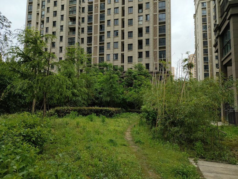 逸龙湾,独秀大道-安庆逸龙湾二手房,租房,房价-安庆安居客