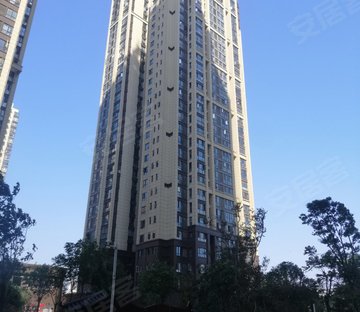 九街十八巷江悦
