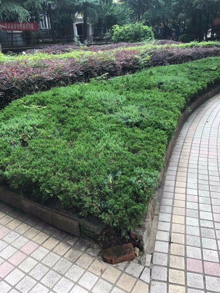 荣昌花园,银花街1号-武汉荣昌花园二手房,租房,房价-武汉安居客