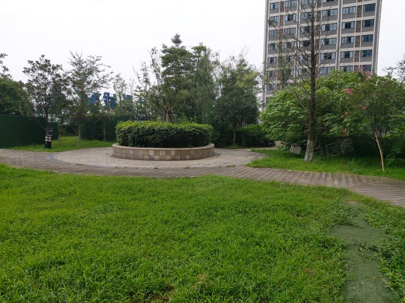 凯旋国际上美广场(商住楼)