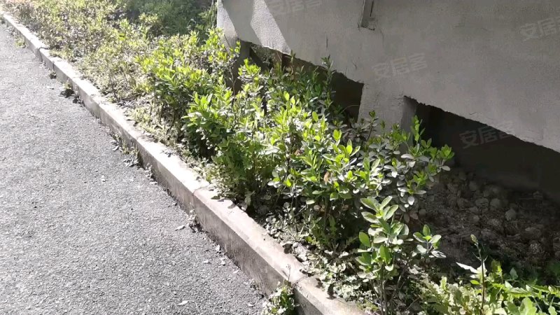 康元阁,武当路22号-十堰康元阁二手房,租房,房价-十堰安居客