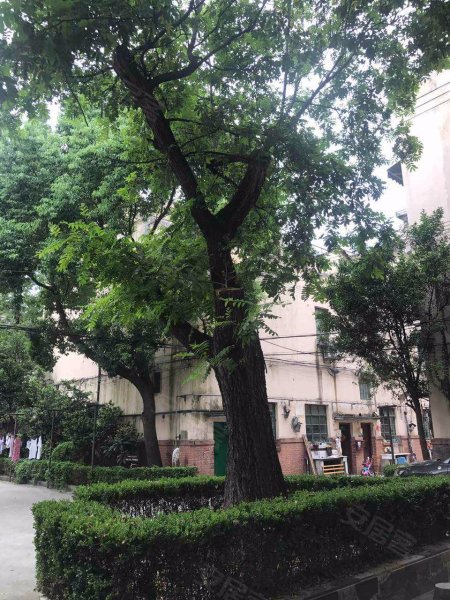 锦园,愚园路805弄15-41号-上海锦园二手房,租房,房价-上海安居客
