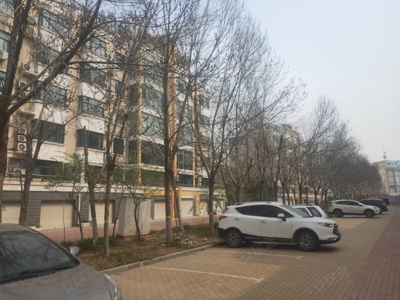 碧水园,北二路677号-衡水碧水园二手房,租房,房价-衡水安居客