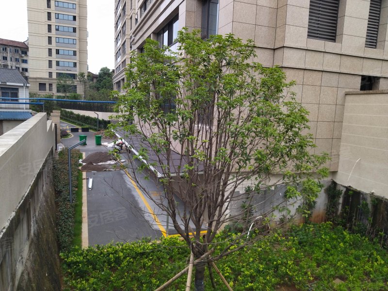 麒麟府,江滨南路-杭州麒麟府二手房,租房,房价-杭州安居客