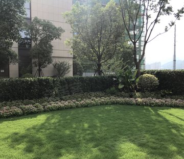 春天学府