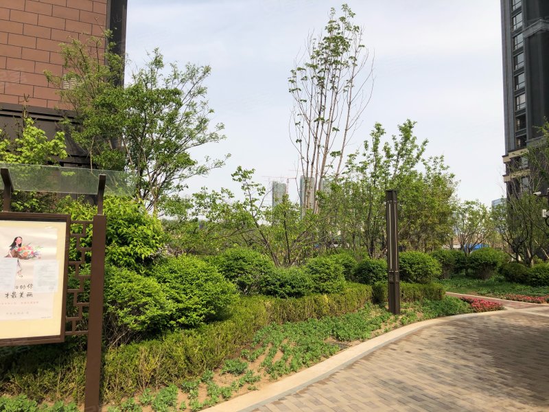 月星城央华墅(别墅)