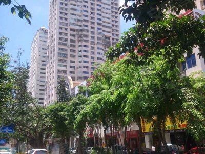 太平洋广场,嘉禾路327-331号 - 厦门太平洋广场二手房,租房,房价-厦门